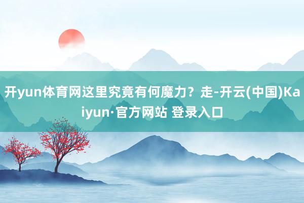 开yun体育网这里究竟有何魔力？走-开云(中国)Kaiyun·官方网站 登录入口