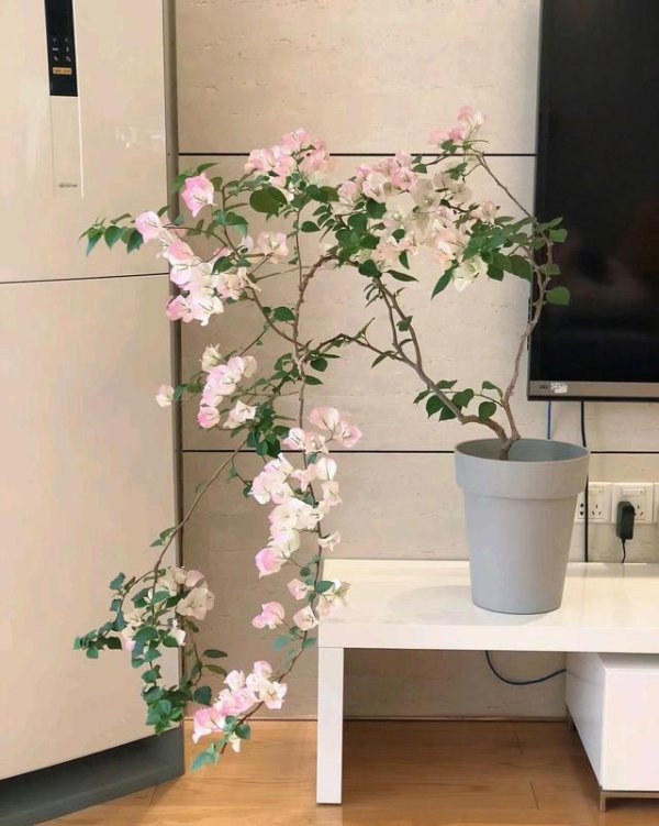 体育游戏app平台看这三个“所在”就知谈了-开云(中国)Kaiyun·官方网站 登录入口