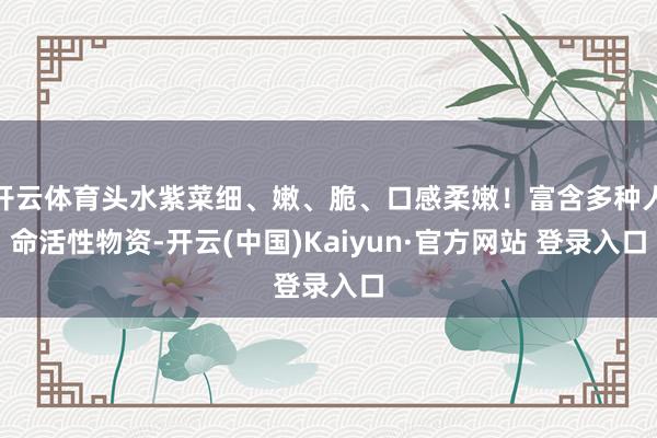 开云体育头水紫菜细、嫩、脆、口感柔嫩！富含多种人命活性物资-开云(中国)Kaiyun·官方网站 登录入口